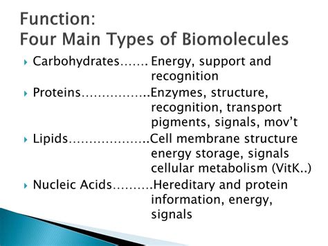 Ppt Biomolecules Powerpoint Presentation Free Download Id1055408
