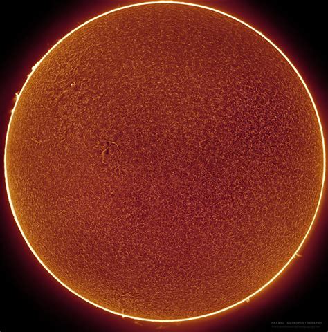Sun In Hydrogen Alpha Photograph By Prabhu Astrophotography