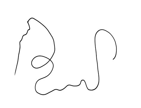 Free Squiggly Line Download Free Squiggly Line Png Images Free