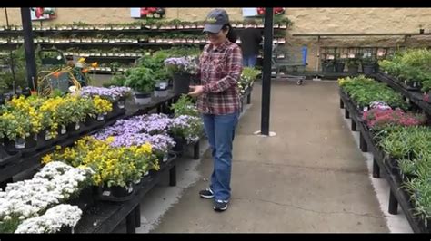 Walmart Lawn And Garden Kalispell Montana YouTube