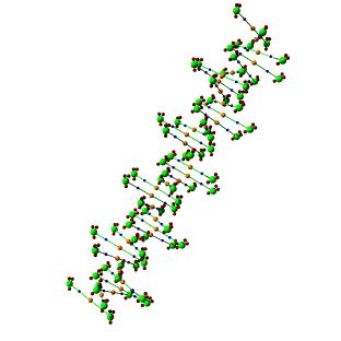 The precise order of the letters along the molecule. Adn 3d gif animado 8 » GIF Images Download