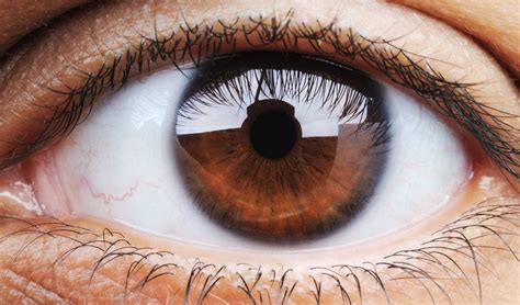 What Eye Color Says About Your Health The Healthy Readers Digest