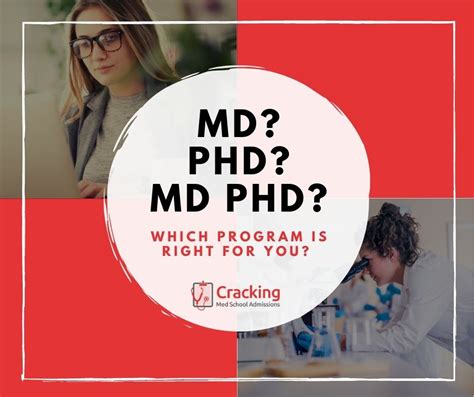 Sdn Md Phd Interview 2025