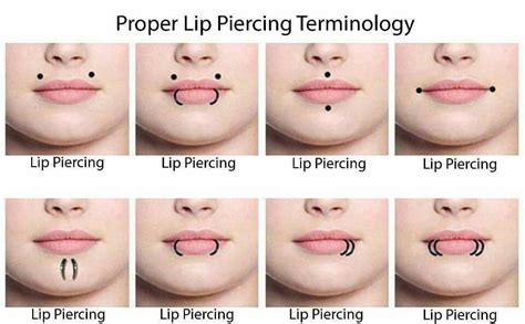 Keep It Proper Lol Xd Piercing Tattoo Piercing Facial Spiderbite Piercings Septum Piercing