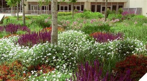Maybe you would like to learn more about one of these? Image result for roy diblik gardens | Bungalow landscaping ...
