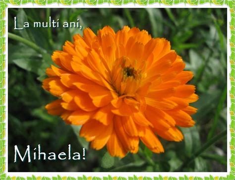 Mesaje sf mihail si gavril. Felicitari Mihail si Gavriil | Timp liber