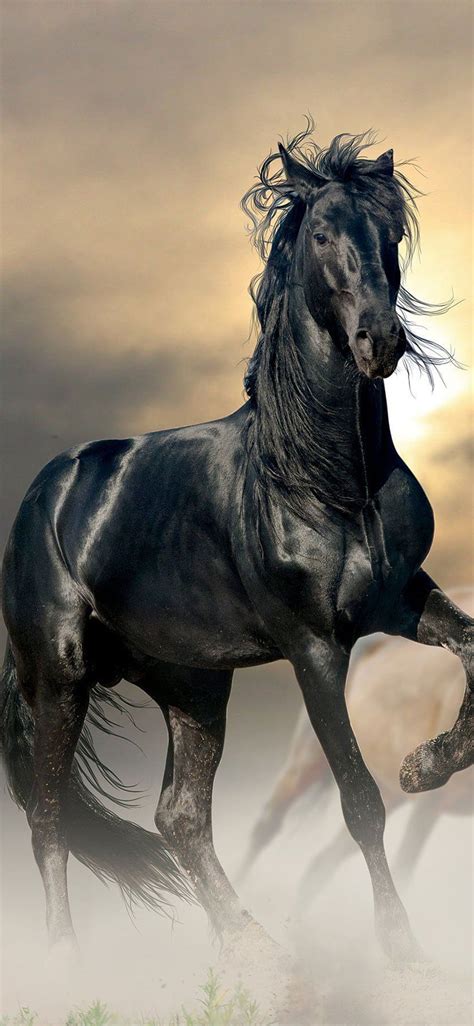 Discover more than 52 iphone horse wallpaper latest - in.cdgdbentre