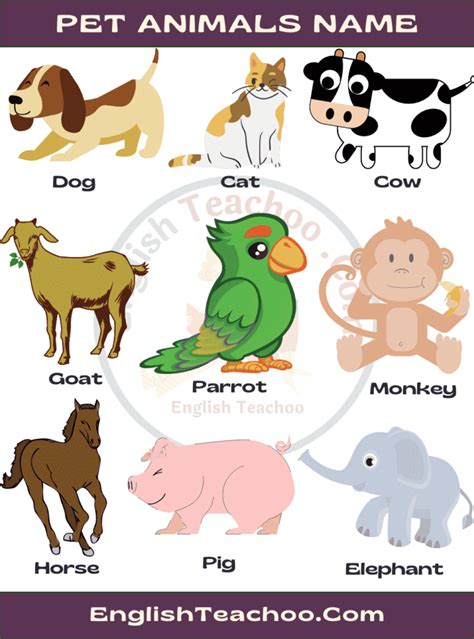 Animals Name List Pet Names Learn English Vocabulary Dog Cat