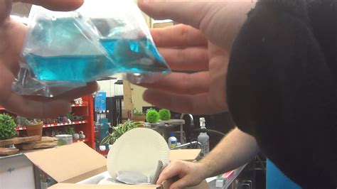Maybe you would like to learn more about one of these? New PETA Exposé: Filth, Sickness, and Death for Betta Fish ...