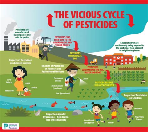 The Impact Of Pesticides On Human Health And The Environment Rbita Sa De