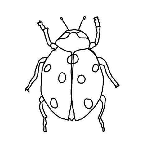 56 dessins de coloriage insecte à imprimer sur LaGuerche com Page 1