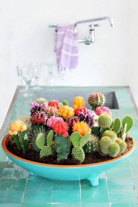 Top Creative Diy Cactus Planters Ideas You Should Copy Right Now No 15