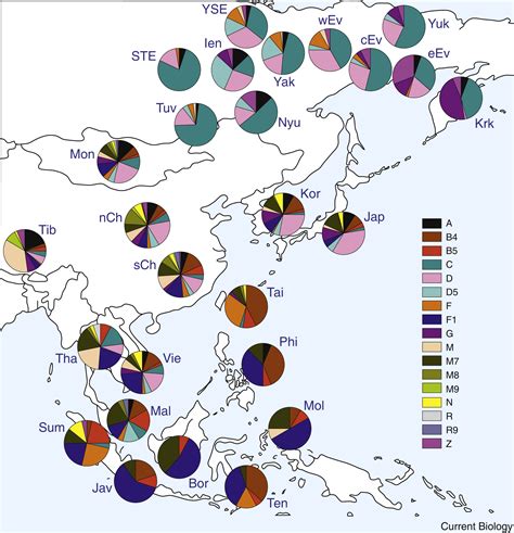 The Human Genetic History Of East Asia Weaving A Complex Tapestry