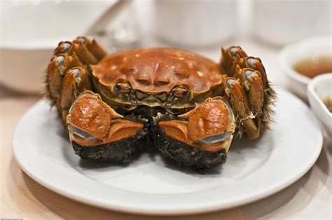 Shanghai Hairy Crab Male Flickr Photo Sharing