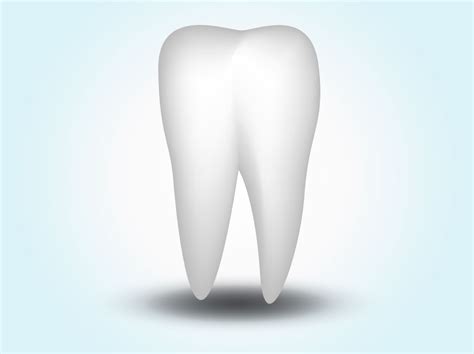 Vector Tooth Vector Art And Graphics