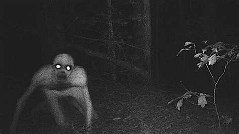 Terrifying Creatures Caught On Camera Youtube