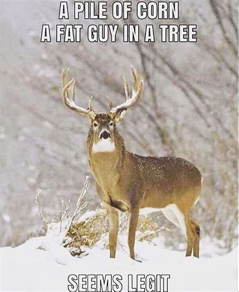 Deer Hunting Funny Hunting Memes Richi Quote