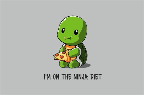2560x1700 Funny Ninja On Diet Chromebook Pixel Hd 4k Wallpapers Images Backgrounds Photos And