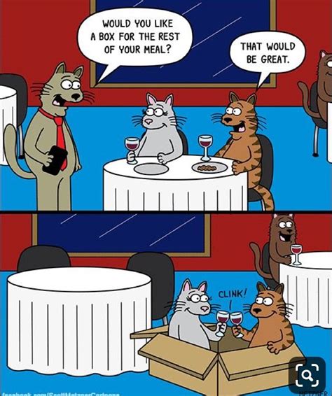 Cat Jokes Cartoon Jokes Cartoon Cat Funny Cartoons Fu