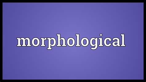 Morphological Meaning Youtube