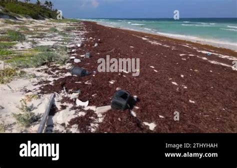 Plastic Waste Littered On A Beach Caused By Dumping Of Plastics In The