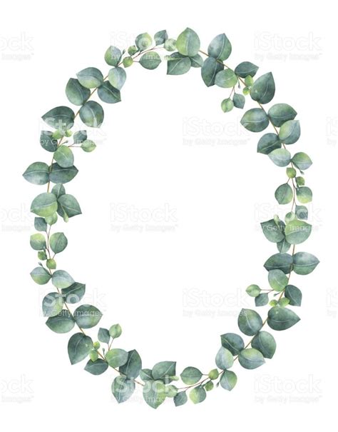 Image Result For Eucalyptus Wreath Clip Art Wreath Watercolor