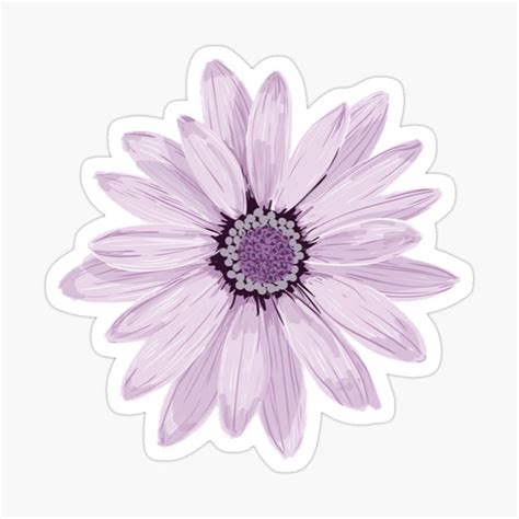 Stunning Purple Daisy Flower Sticker By Einsteinmoomjy Nature