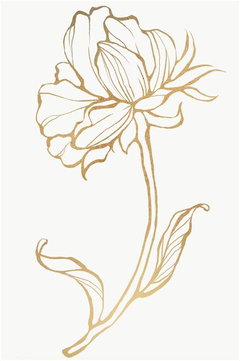 Flower flower arranging flower bouquet lineart iris flower white flower passion flower. Download premium png of Gold flower outline transparent ...