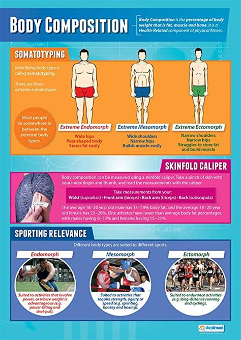Body Composition PE Posters Laminated Gloss Paper Measuring 850mm X