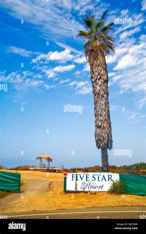Untrimmed Palm Tree Hi Res Stock Photography And Images Alamy