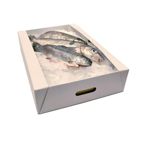 Fish Boxes Boxes Specifically For The Transportation Of Fresh Or