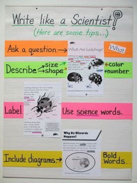 5th Grade Anchor Charts To Try In Your Classroom Science Writing 5th