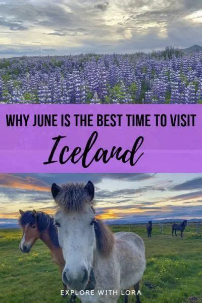 6 Reasons Why You Should Visit Iceland In June In 2022 Iceland In