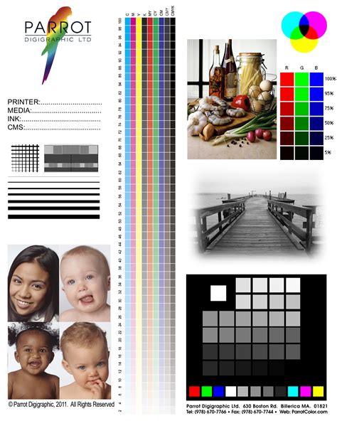 ️epson Color Printer Test Page Free Download
