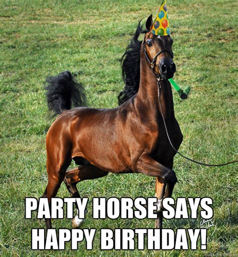Happy Birthday Images With Horses💐 — Free Happy Bday Pictures And