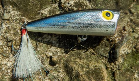 Essential Topwater Fishing Lures