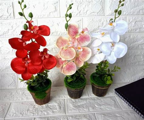 Berikut macam bunga anggrek yang ada di indonesia, beberapa bisa anda budidaya dan temukan, sedangkan yang lainnya masih cukup langka anggrek bulan atau phalaenopsis amabilis atau juga puspa pesona merupakan salah satu bunga nasional indonesia selain melati putih dan padma raksasa. Paling Bagus 11+ Foto Bunga Anggrek Yang Cantik - Gambar Bunga HD