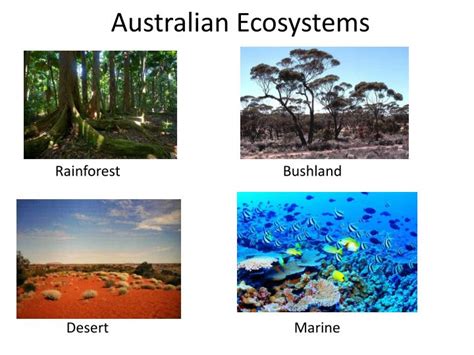 PPT - Australian Ecosystems PowerPoint Presentation, free download - ID ...