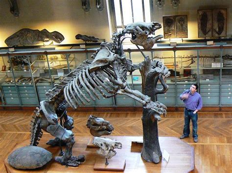 10 Terrifying Prehistoric Animals That Werent Dinosaurs
