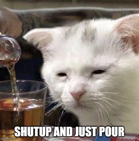 Image Tagged In Funny Catsfunny Cat Memesdrinkingdrunk Catholidays