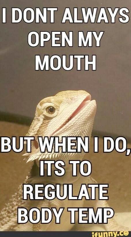 Famous lizard and dragon names. Stunning... Bearded Dragon Names Funny #google # ...