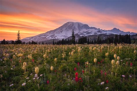 Nature Mount Rainier Hd Wallpaper