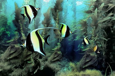 Moorish Idols Tropical Fish Photograph By Russ Harris Pixels