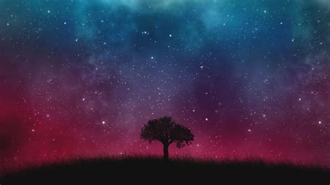 Wallpaper Lonely Tree Starry Sky Night Cosmos Galaxy