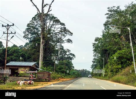 Scenery Along Singkawang Aruk Road West Kalimantan Indonesia Stock