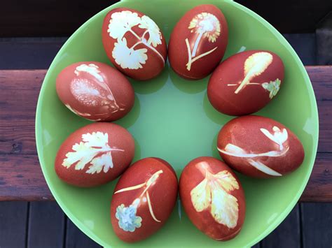 Eier färben mit Zwiebelschalen bee in flipflops