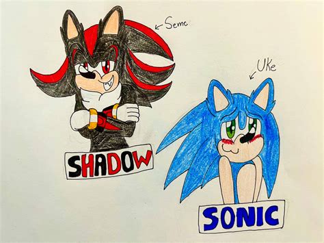 My Type Of Shadonic By Jurassicworldgirl On Deviantart