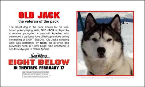 Snow Dogs Movie Dog Names Dalton Porterfield
