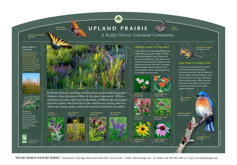 Outdoor Interpretive Nature Trail Sign In Prairie Meadow And Grassland