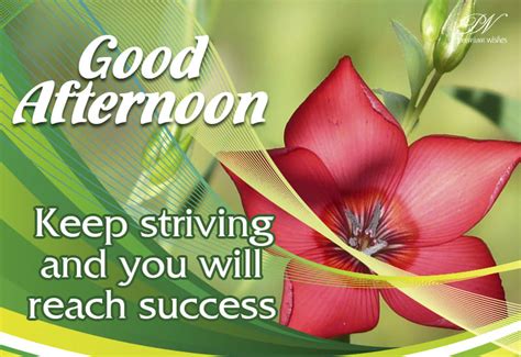 Good Afternoon Keep Striving And You Will Reach Success Premium Wishes